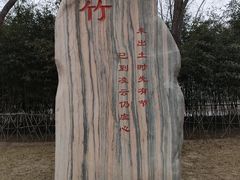 -毛遂公园