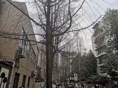 -奎星楼街