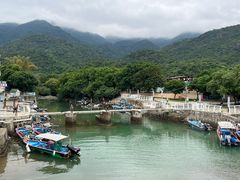 -杨梅坑