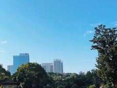 -华雅花园大酒店