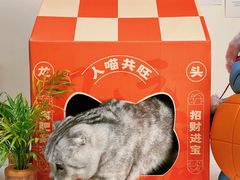 -鱼上·烤鱼(万象城店)