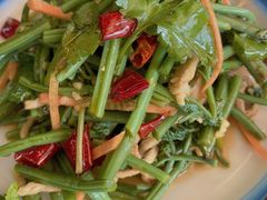 肉丝拌蕨菜-东北四季饺子王(华山路店)