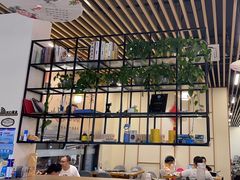 -小团圆灶台鱼·百城头牌菜(千岛湖店)