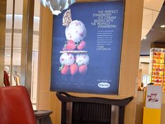 -哈根达斯(青岛海信店)