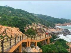 -广东惠东海龟国家级自然保护区