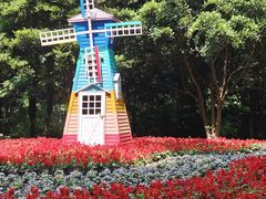 -上海共青森林公园