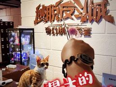 -逃脱反斗城沉浸剧情密室(北京路店)