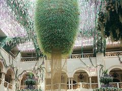 -深圳东部华侨城茵特拉根酒店