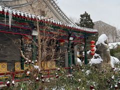 -白家大院·王府宫廷菜(苏州街店)