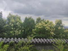 -句容茅山景区