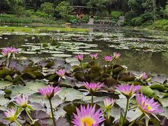 -云溪植物园