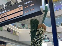 -野人先生Gelato(上海长宁龙之梦店)