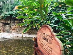 -龙达温泉生态城