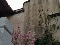 -乌山风景区