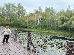 -苏州太湖国家湿地公园