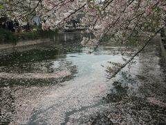 -熙盛源(永乐路店)