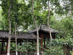 -龙头寺公园