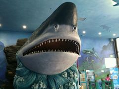 景点-多彩贵州城极地海洋世界