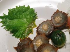 海参刺身-怡情荟•海鲜青岛菜(五四广场旗舰店)