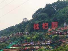 -枇杷园食为鲜火锅(南山店)