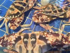 -金苑海鲜酒家(来魅力店)