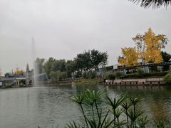 -成飞公园