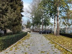 -国家图书馆·古籍馆