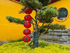 -巢湖姥山岛