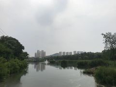 -前关湿地公园