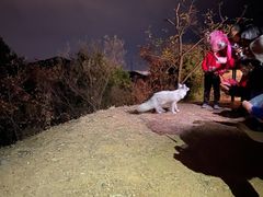 -鬼笑石后山停车场