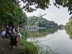 -李小龙乐园(顺德均安店)