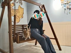 -豆逗聊愈猫阁Easy Life