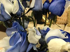 -BEAST野兽派(上海浦东嘉里城店)