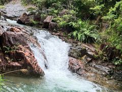 -广州白江湖森林公园