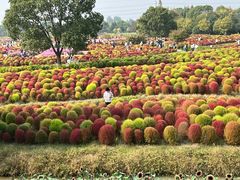 -花开海上生态园