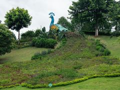 -东莞植物园