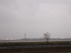 -纽瓦克自由国际机场