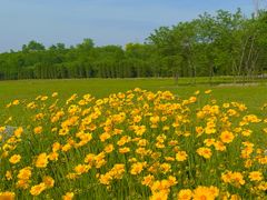 -汉长安城未央宫国家考古遗址公园