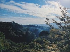 -有栖山 清光院 清水寺