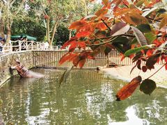 -海南热带野生动植物园