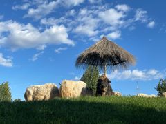 -北京野生动物园