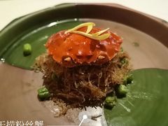 -西郊5号·Maggie 5