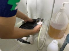 -佳雯宠物医院(金华南路分院)