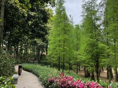 -广州市帽峰山景区