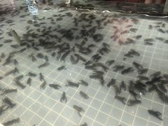 -虾胡闹龙虾馆(湄南河店)