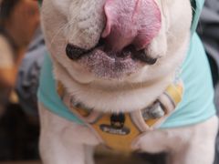 -EAU CAFE(永康路店)