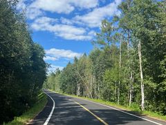 -五营红松林海景区