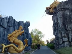 -宜兴龙背山森林公园