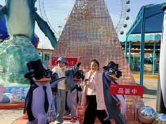 -海合安武汉极地海洋公园
