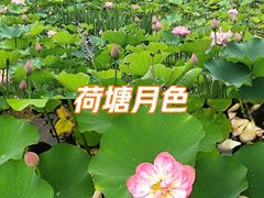 -沐仙湖湿地公园